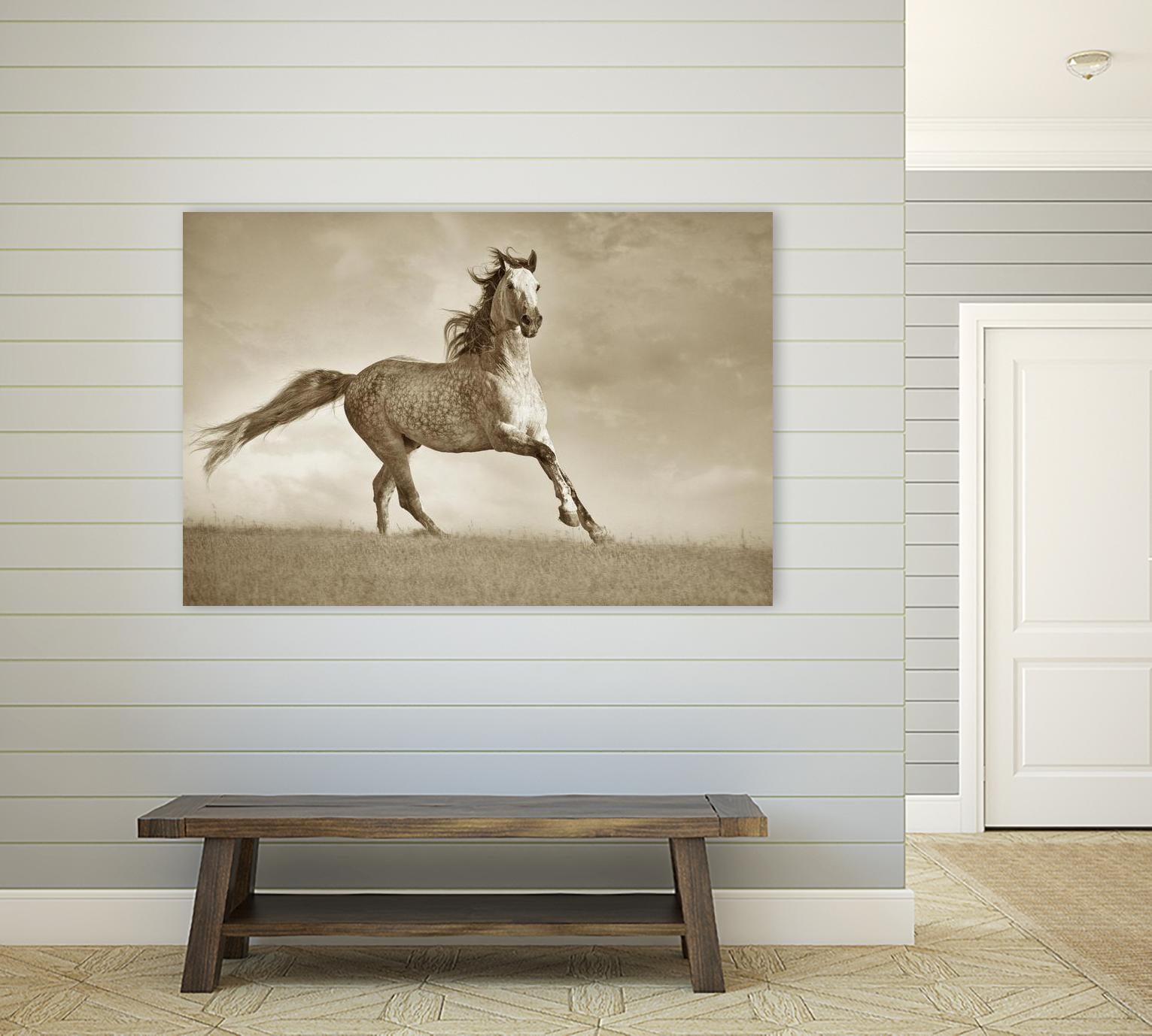 Like the Wind by Lisa Dearing on GIANT ART - multicolor photography; animals