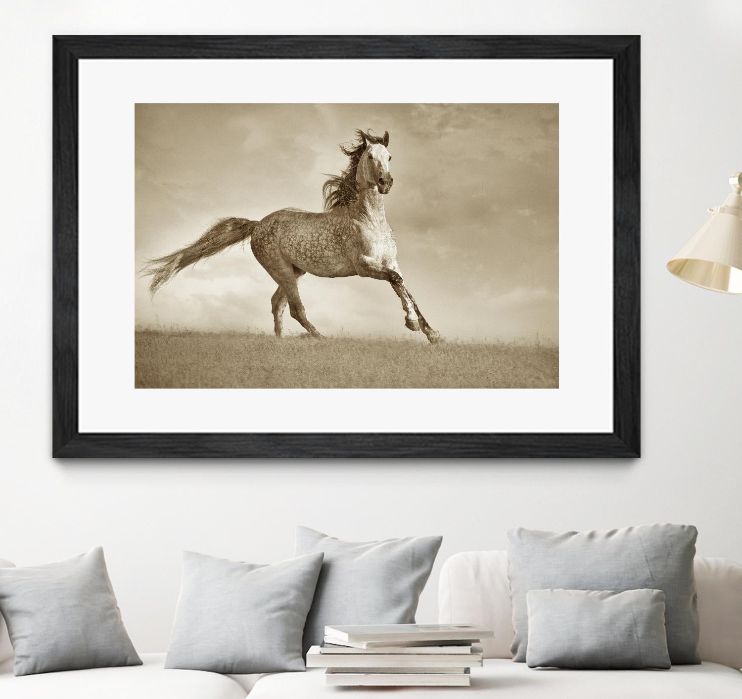 Like the Wind by Lisa Dearing on GIANT ART - multicolor photography; animals