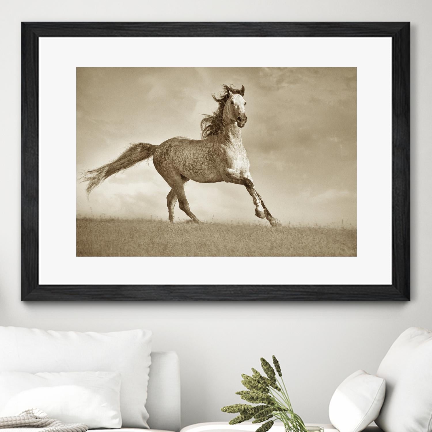 Like the Wind by Lisa Dearing on GIANT ART - multicolor photography; animals