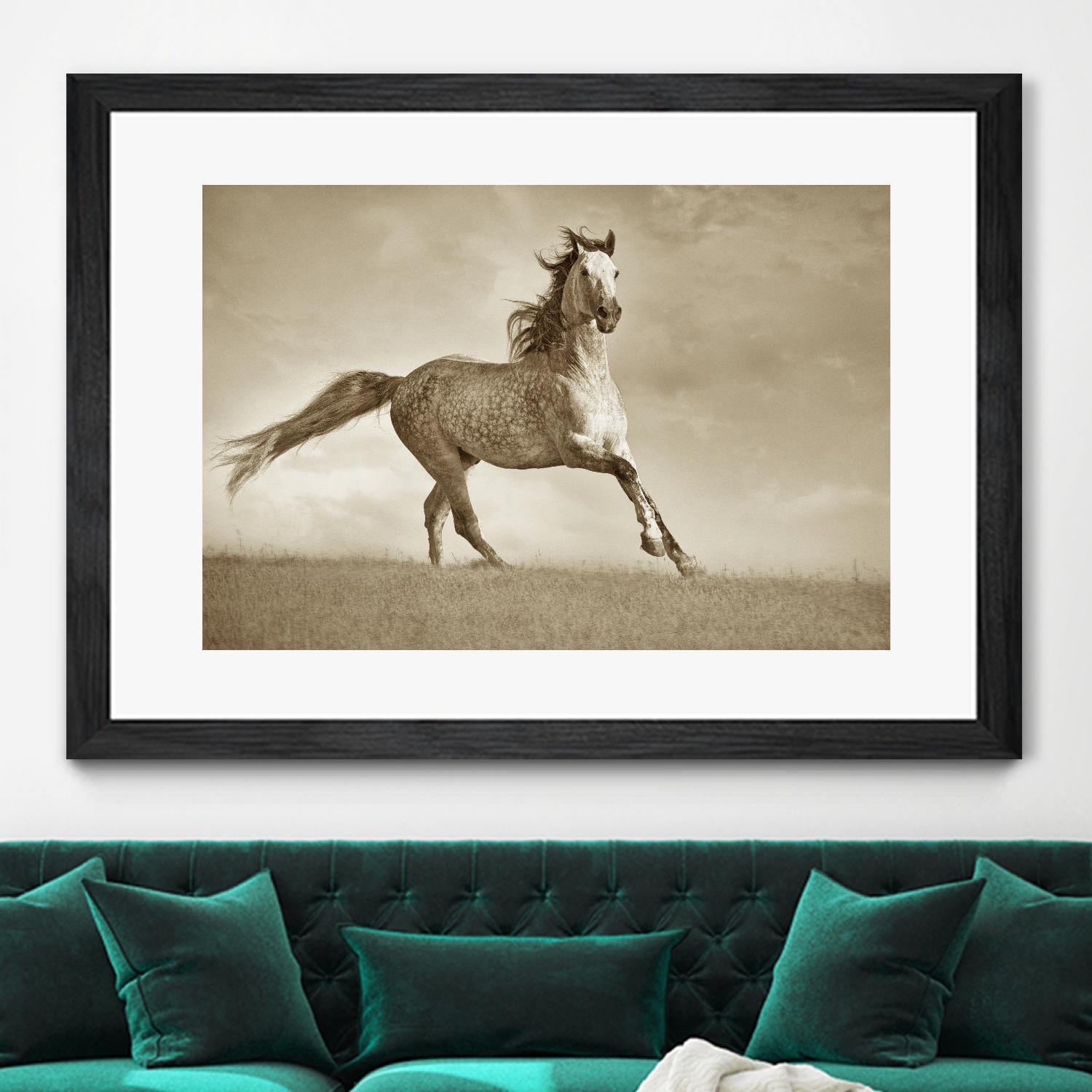 Like the Wind by Lisa Dearing on GIANT ART - multicolor photography; animals