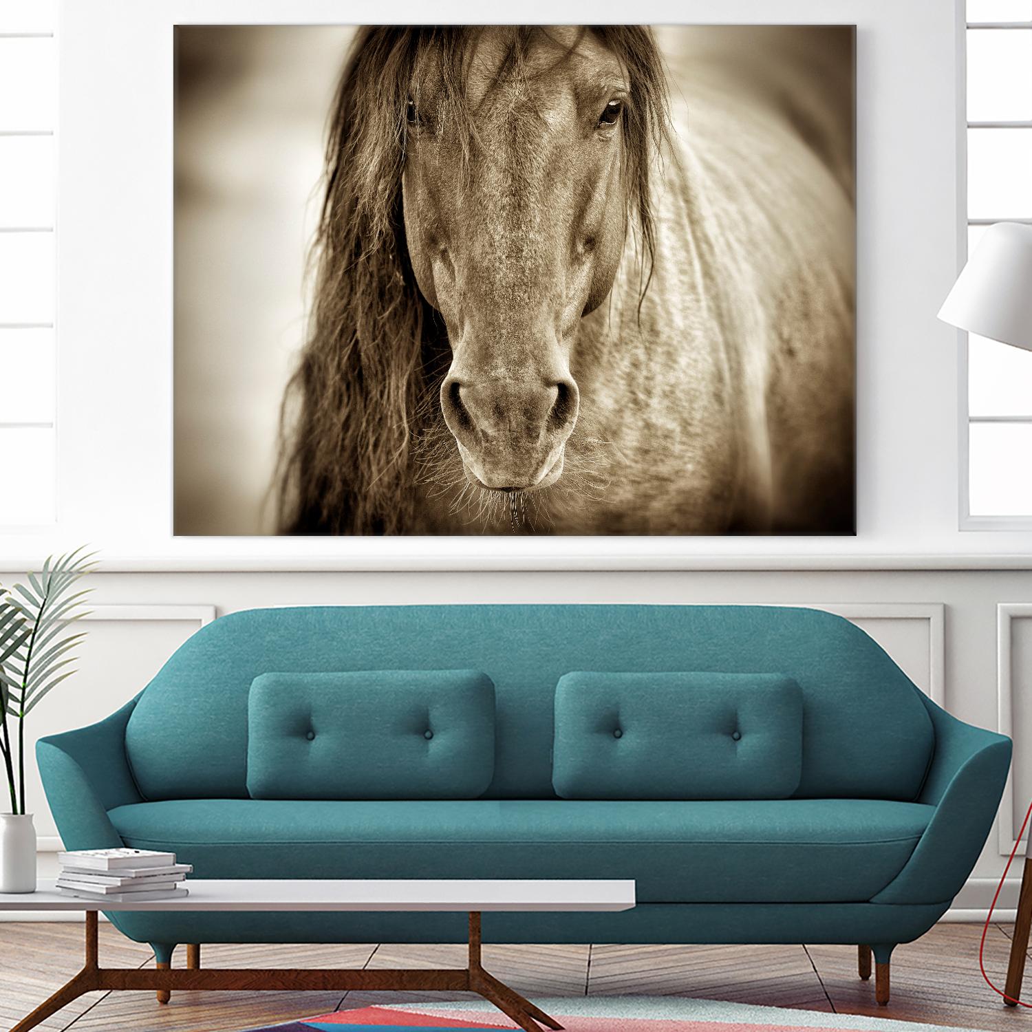 Mustang Sally by Lisa Dearing on GIANT ART - multicolor photography; animals