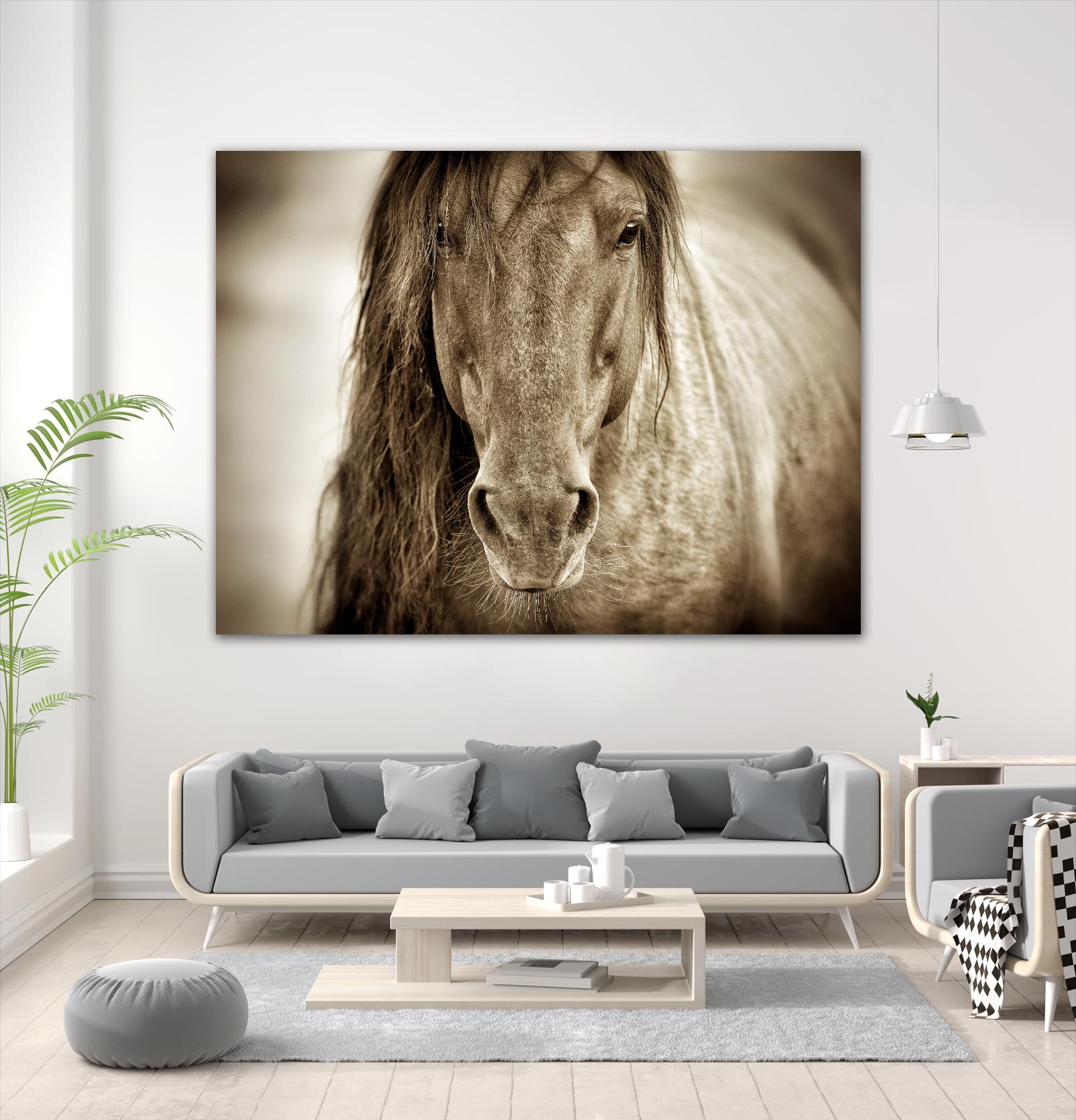Mustang Sally by Lisa Dearing on GIANT ART - multicolor photography; animals