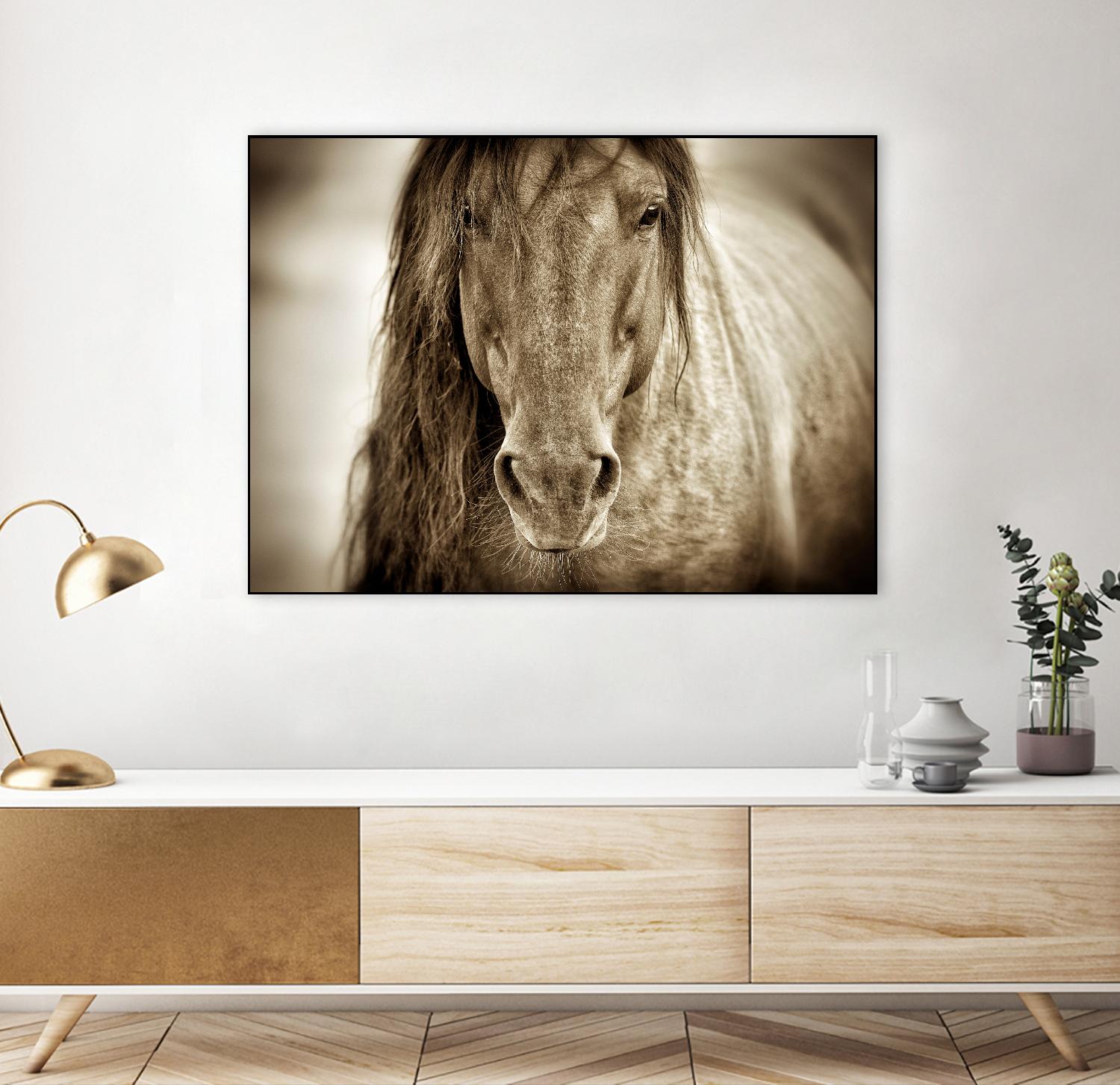 Mustang Sally by Lisa Dearing on GIANT ART - multicolor photography; animals