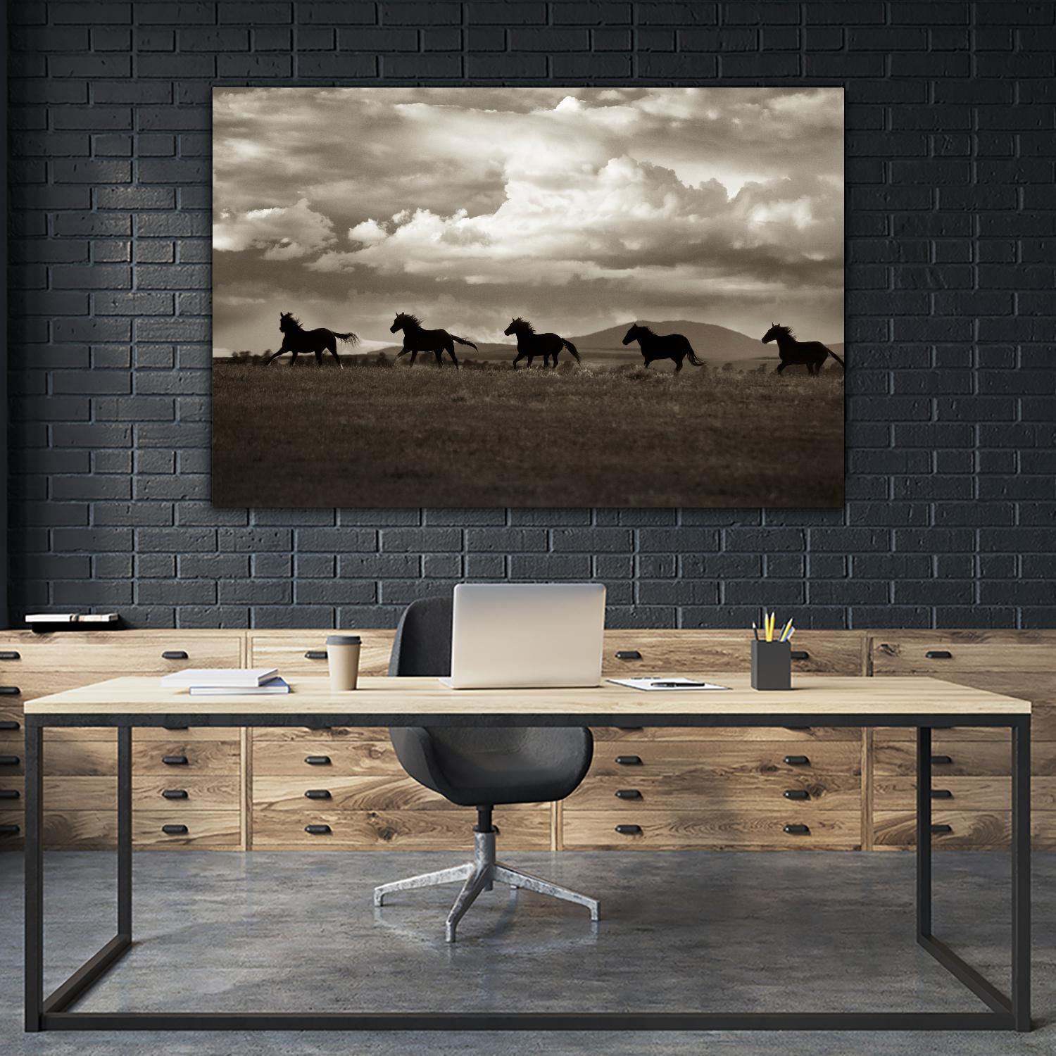 Racing the Clouds by Lisa Dearing on GIANT ART - multicolor photography; animals