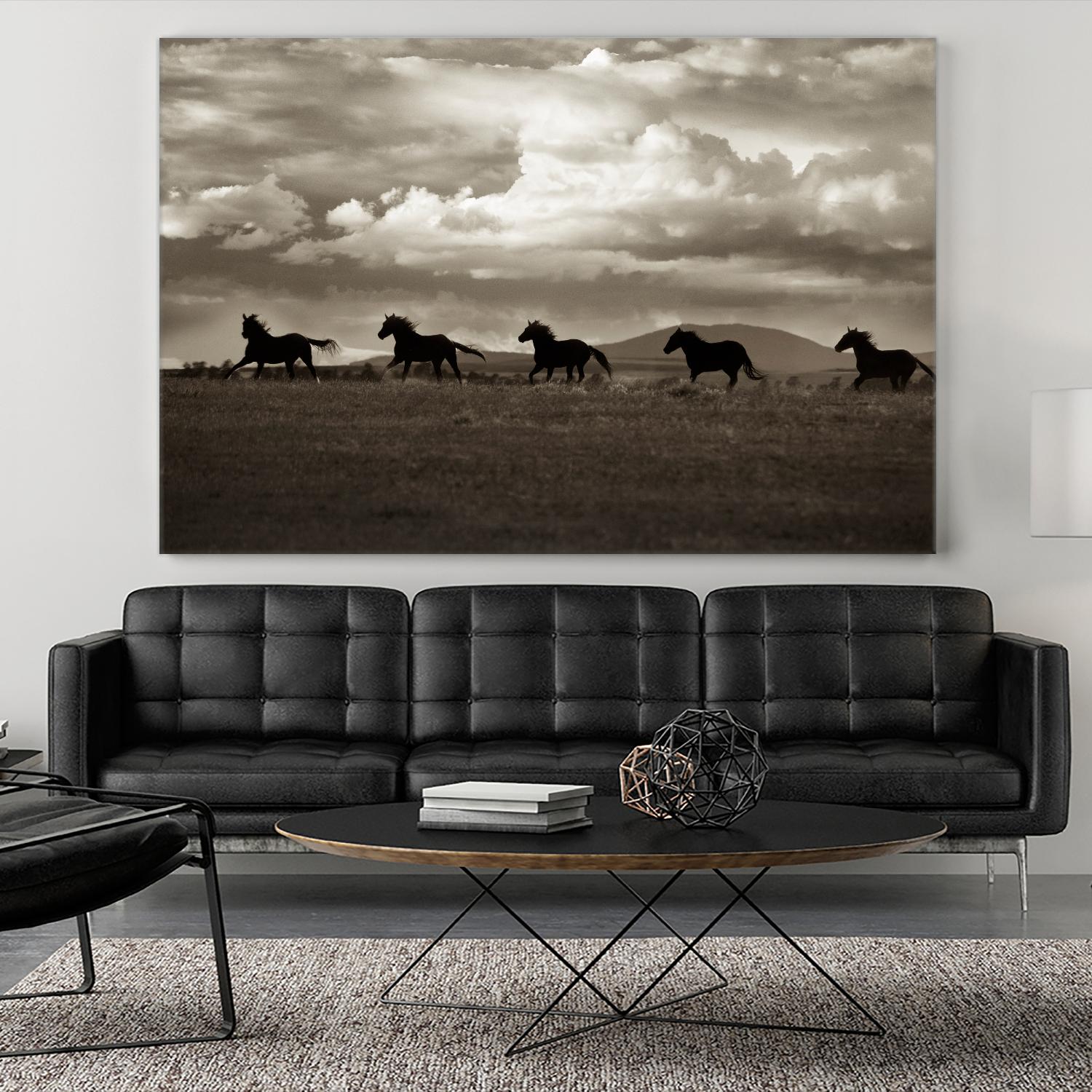Racing the Clouds by Lisa Dearing on GIANT ART - multicolor photography; animals