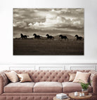 Racing the Clouds by Lisa Dearing on GIANT ART - multicolor photography; animals