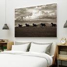 Racing the Clouds by Lisa Dearing on GIANT ART - multicolor photography; animals