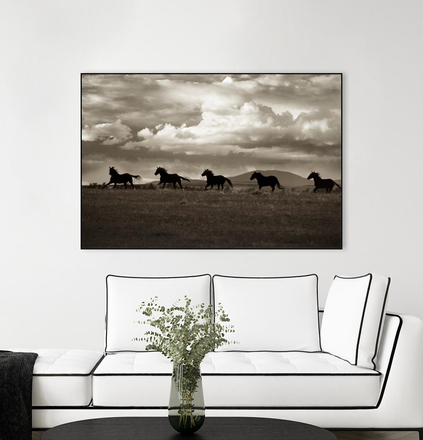 Racing the Clouds by Lisa Dearing on GIANT ART - multicolor photography; animals