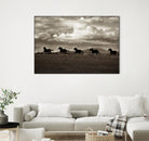 Racing the Clouds by Lisa Dearing on GIANT ART - multicolor photography; animals