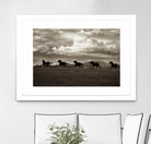 Racing the Clouds by Lisa Dearing on GIANT ART - multicolor photography; animals