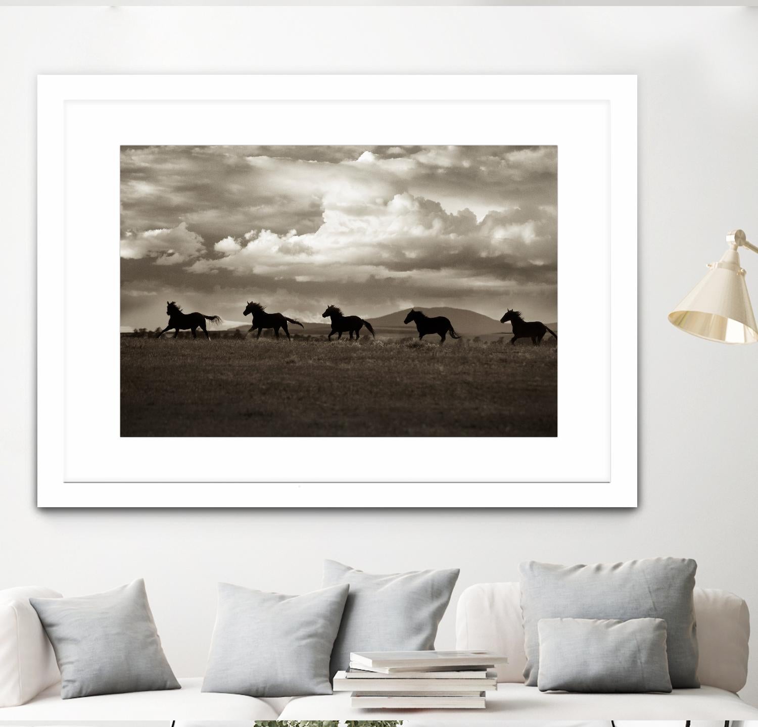 Racing the Clouds by Lisa Dearing on GIANT ART - multicolor photography; animals