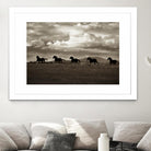 Racing the Clouds by Lisa Dearing on GIANT ART - multicolor photography; animals