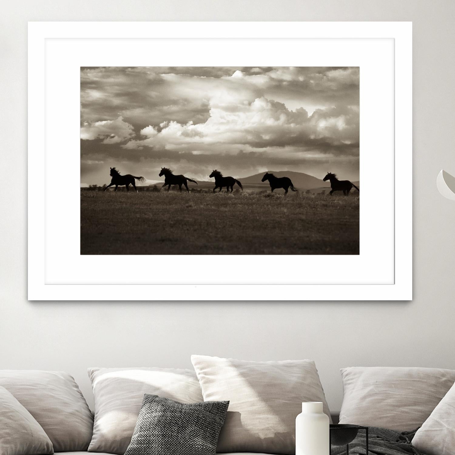 Racing the Clouds by Lisa Dearing on GIANT ART - multicolor photography; animals