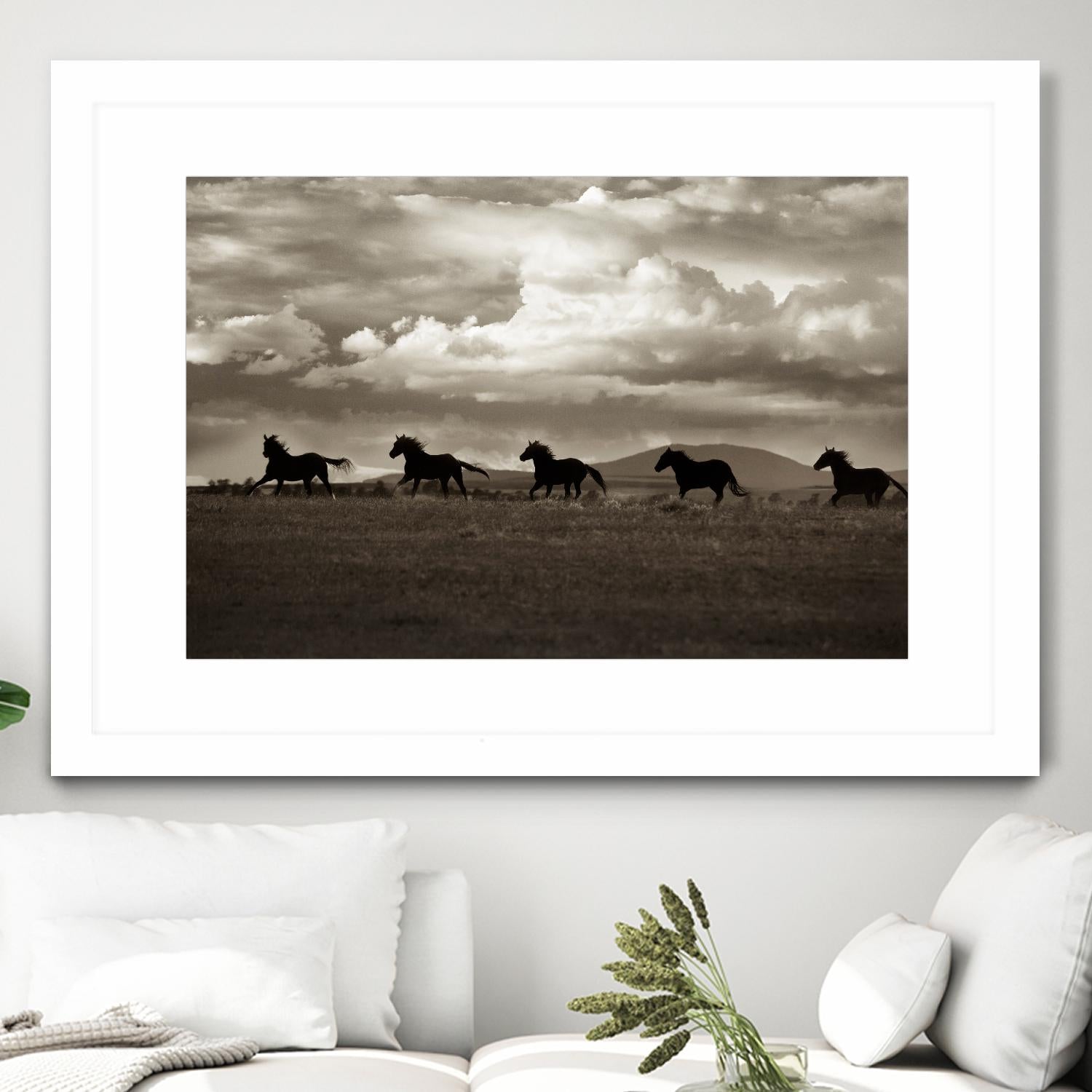 Racing the Clouds by Lisa Dearing on GIANT ART - multicolor photography; animals