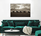 Racing the Clouds by Lisa Dearing on GIANT ART - multicolor photography; animals