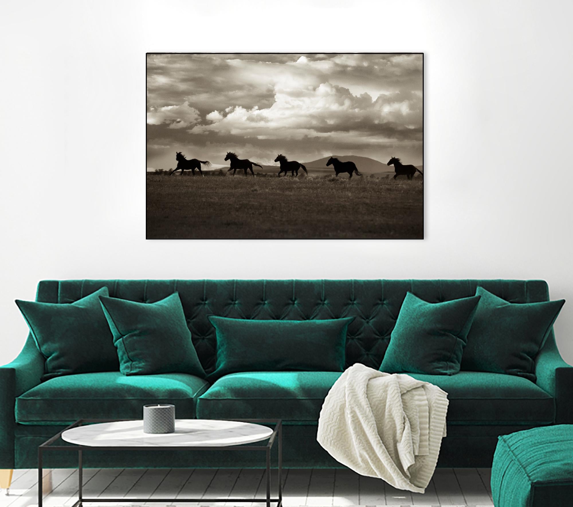 Racing the Clouds by Lisa Dearing on GIANT ART - multicolor photography; animals