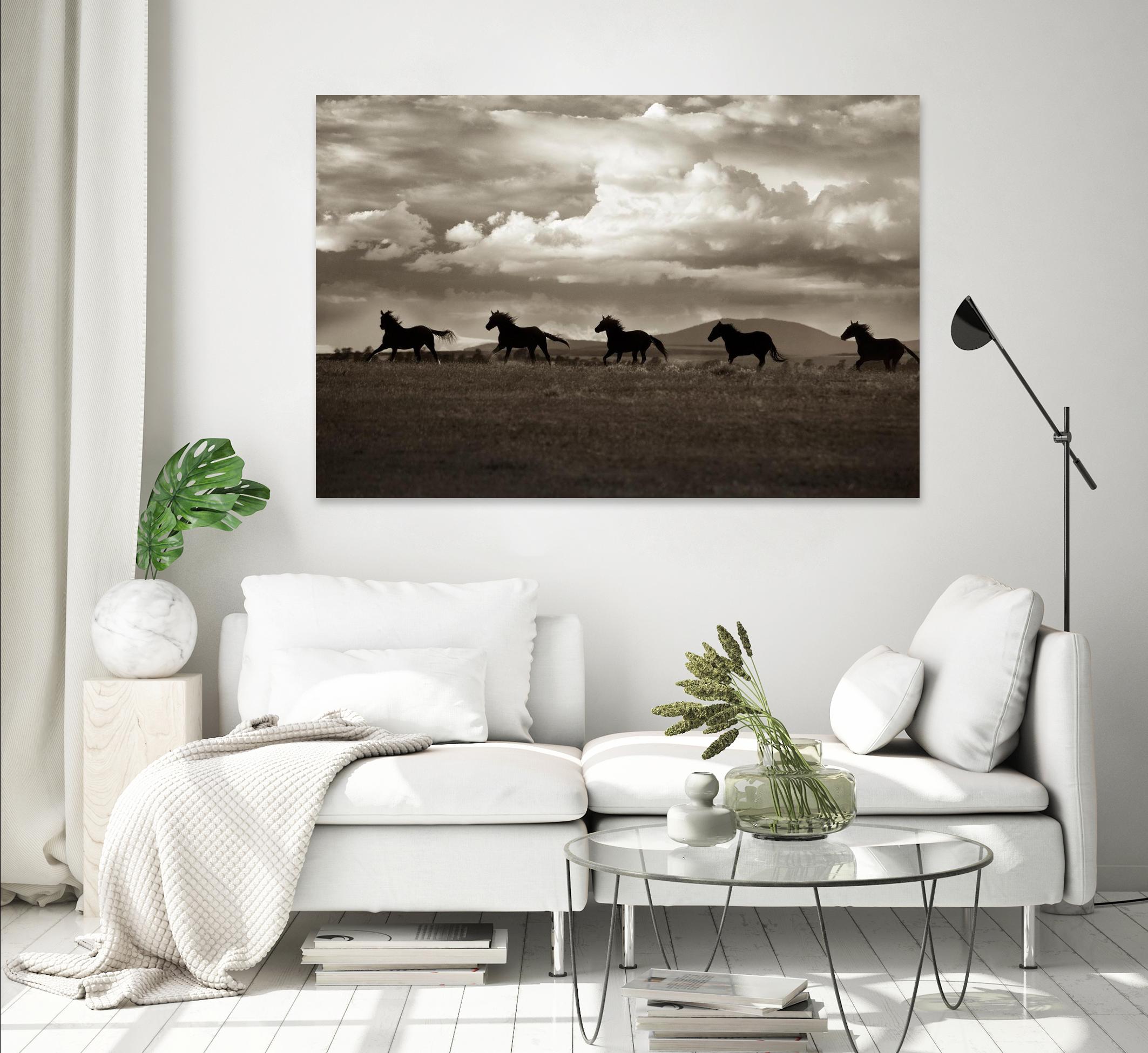 Racing the Clouds by Lisa Dearing on GIANT ART - multicolor photography; animals