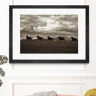 Racing the Clouds by Lisa Dearing on GIANT ART - multicolor photography; animals