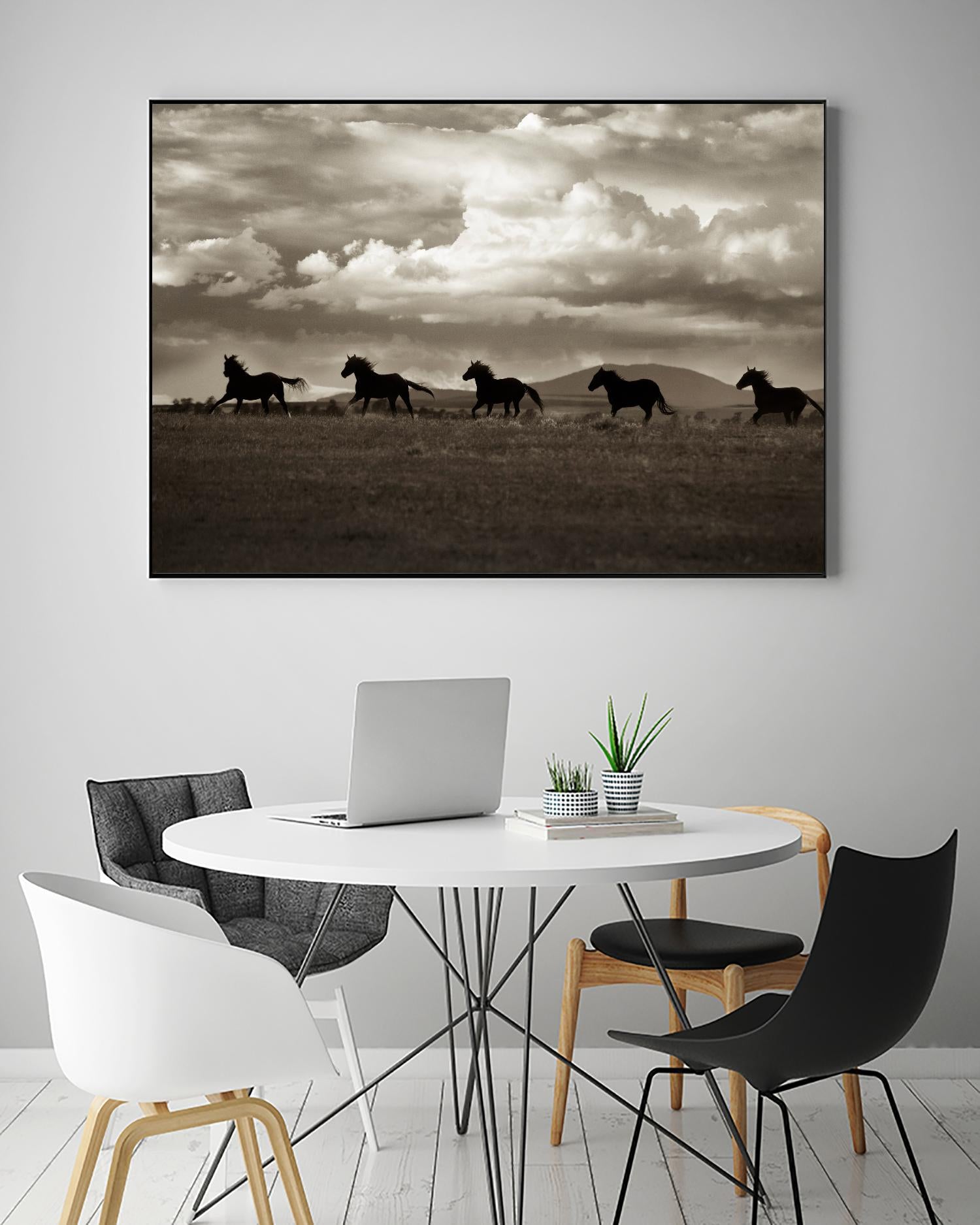 Racing the Clouds by Lisa Dearing on GIANT ART - multicolor photography; animals