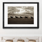 Racing the Clouds by Lisa Dearing on GIANT ART - multicolor photography; animals