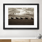 Racing the Clouds by Lisa Dearing on GIANT ART - multicolor photography; animals