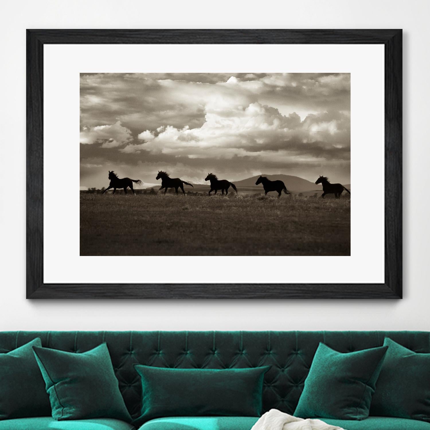 Racing the Clouds by Lisa Dearing on GIANT ART - multicolor photography; animals