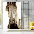 Wilbur Cruz by Lisa Dearing on GIANT ART - multicolor photography; animals