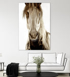 Wilbur Cruz by Lisa Dearing on GIANT ART - multicolor photography; animals