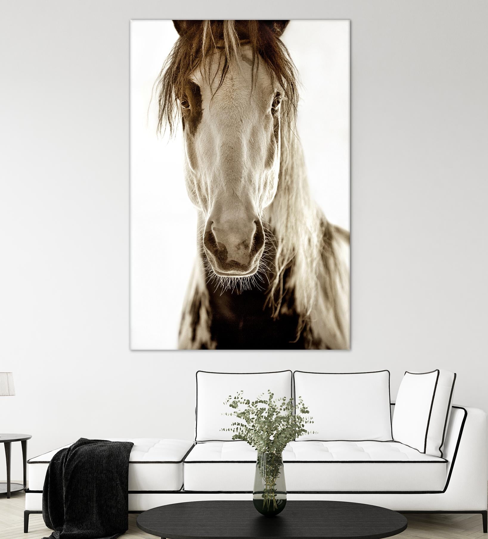 Wilbur Cruz by Lisa Dearing on GIANT ART - multicolor photography; animals