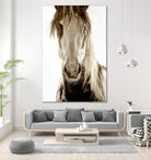 Wilbur Cruz by Lisa Dearing on GIANT ART - multicolor photography; animals