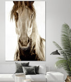 Wilbur Cruz by Lisa Dearing on GIANT ART - multicolor photography; animals