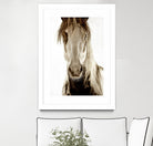 Wilbur Cruz by Lisa Dearing on GIANT ART - multicolor photography; animals