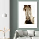 Wilbur Cruz by Lisa Dearing on GIANT ART - multicolor photography; animals