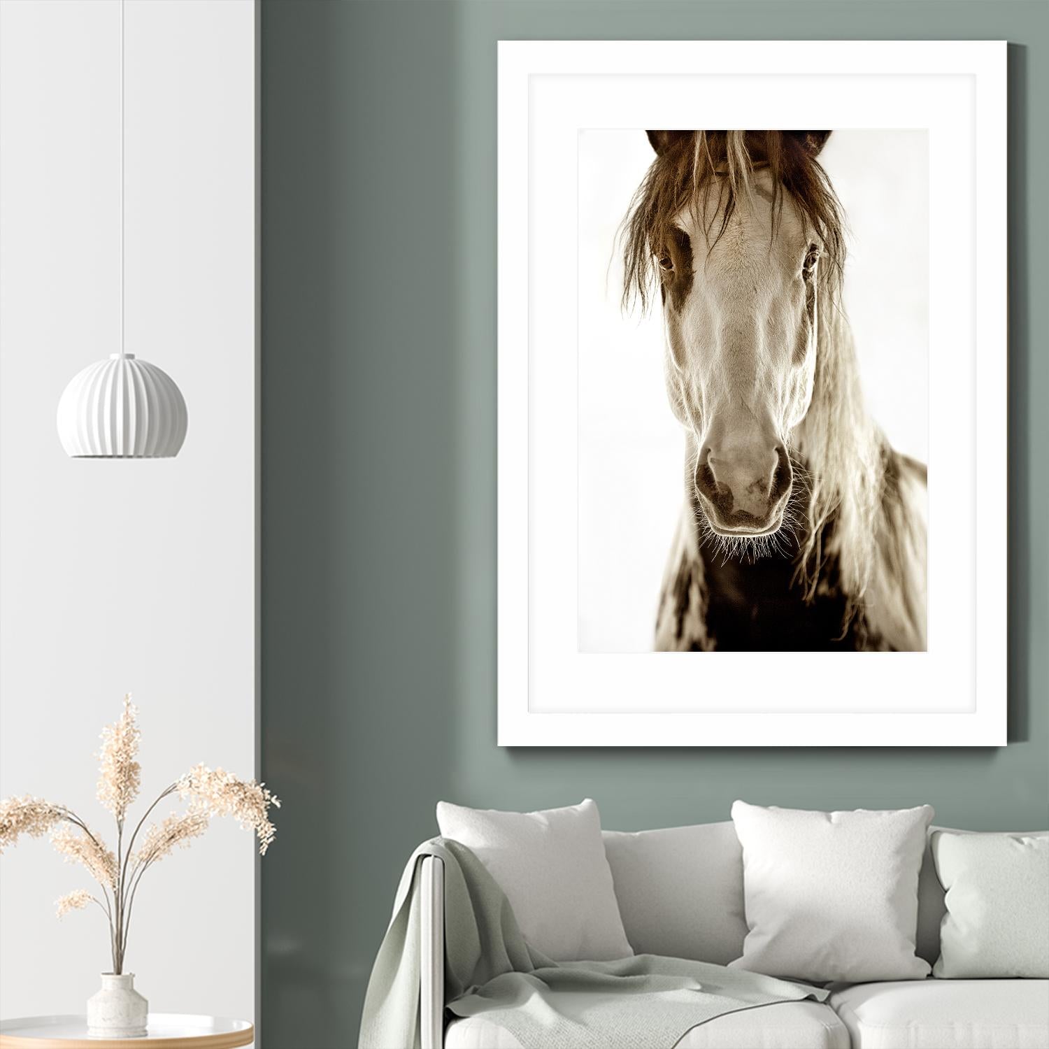 Wilbur Cruz by Lisa Dearing on GIANT ART - multicolor photography; animals