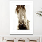 Wilbur Cruz by Lisa Dearing on GIANT ART - multicolor photography; animals