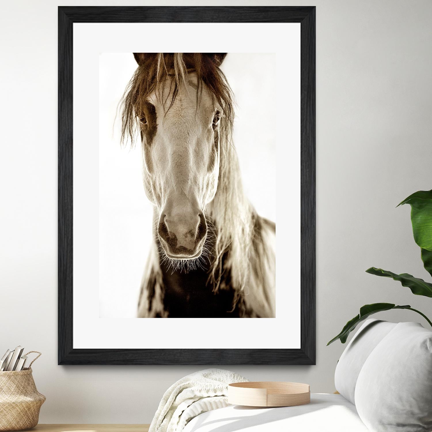 Wilbur Cruz by Lisa Dearing on GIANT ART - multicolor photography; animals