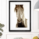 Wilbur Cruz by Lisa Dearing on GIANT ART - multicolor photography; animals