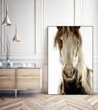 Wilbur Cruz by Lisa Dearing on GIANT ART - multicolor photography; animals