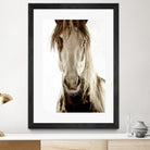 Wilbur Cruz by Lisa Dearing on GIANT ART - multicolor photography; animals