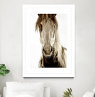 Wilbur Cruz by Lisa Dearing on GIANT ART - multicolor photography; animals