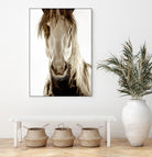 Wilbur Cruz by Lisa Dearing on GIANT ART - multicolor photography; animals