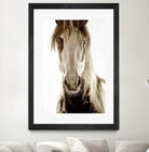 Wilbur Cruz by Lisa Dearing on GIANT ART - multicolor photography; animals