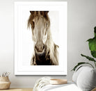 Wilbur Cruz by Lisa Dearing on GIANT ART - multicolor photography; animals