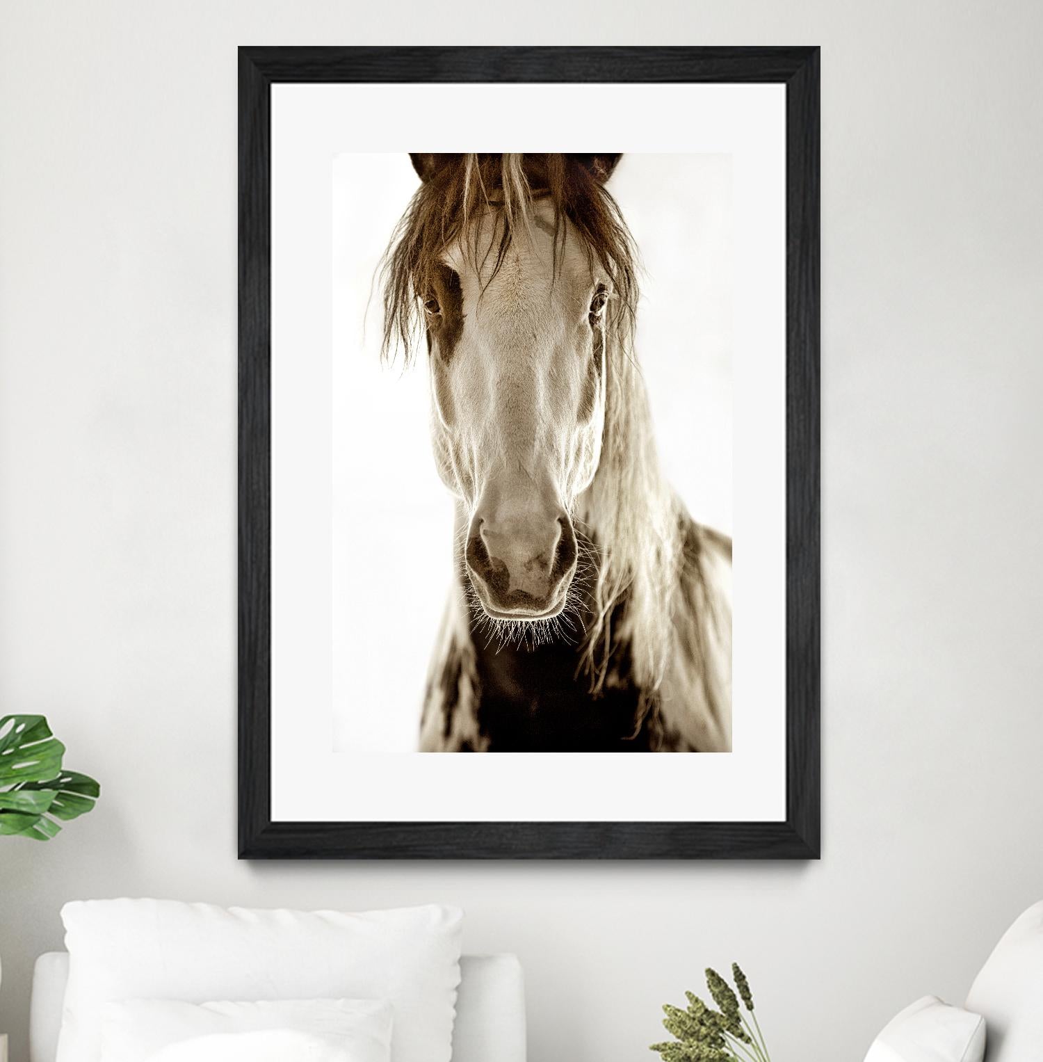 Wilbur Cruz by Lisa Dearing on GIANT ART - multicolor photography; animals