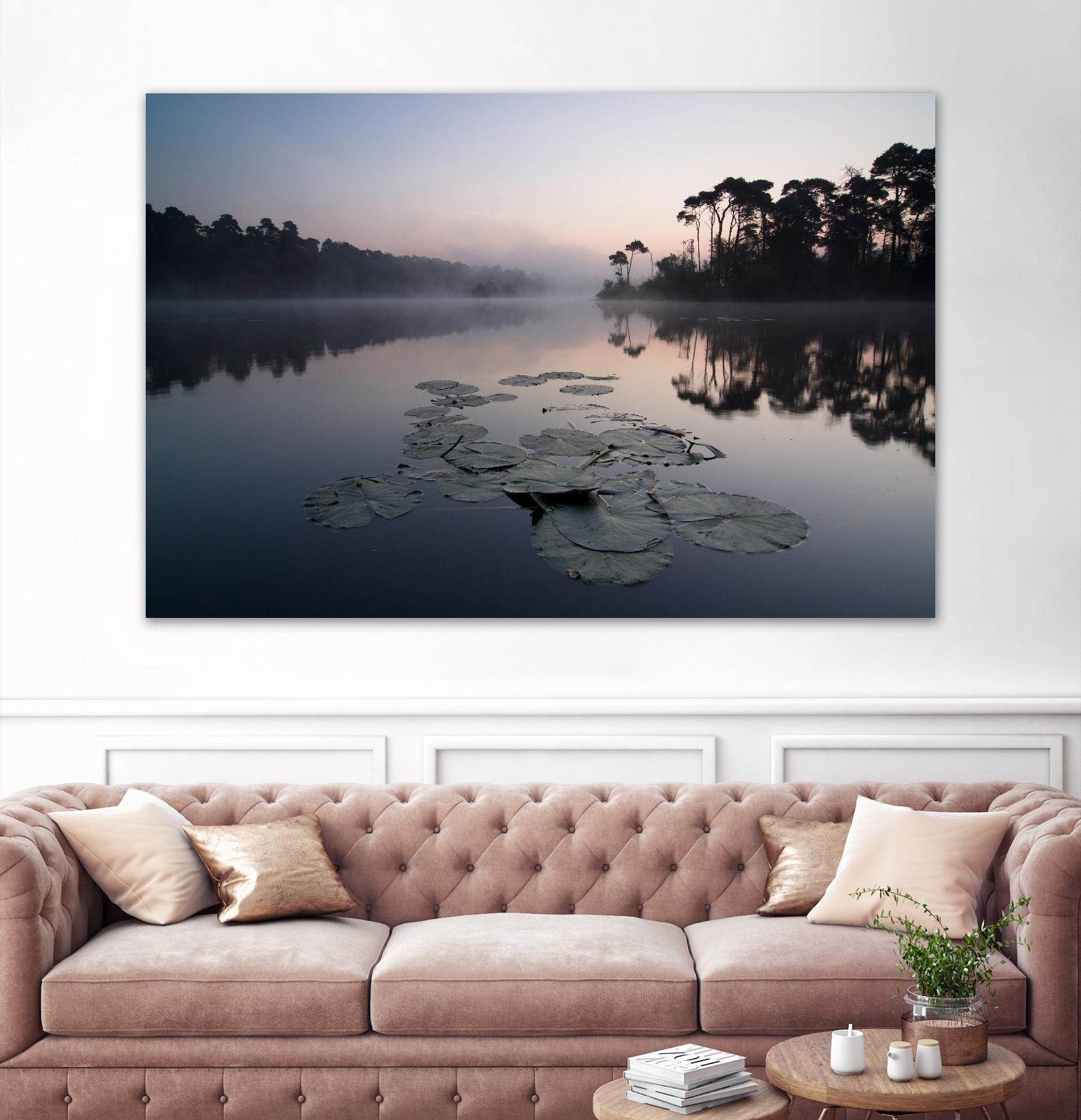 Oisterwijkse Vennen by Wilco Dragt on GIANT ART - multicolor photography; landscapes