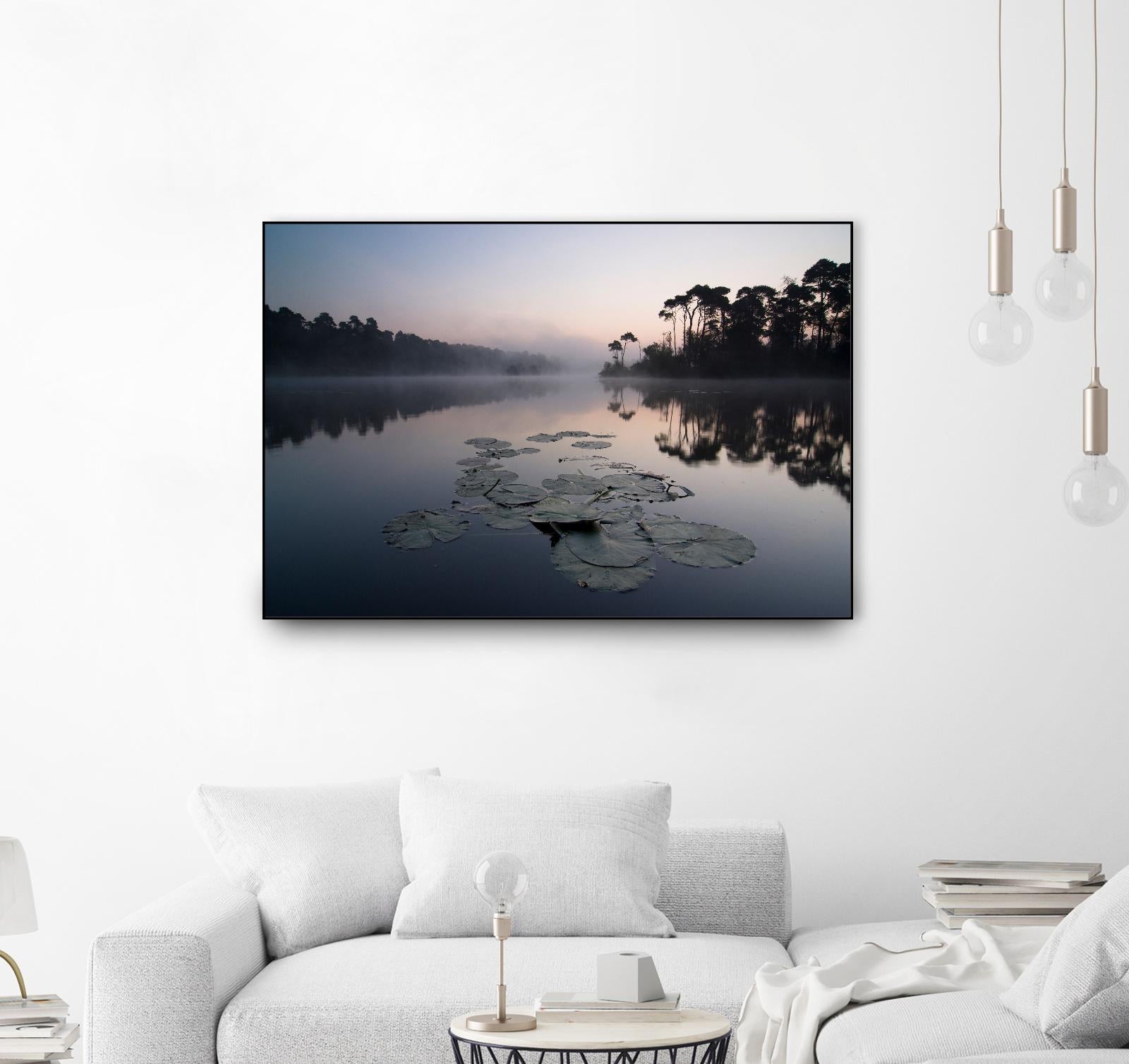 Oisterwijkse Vennen by Wilco Dragt on GIANT ART - multicolor photography; landscapes