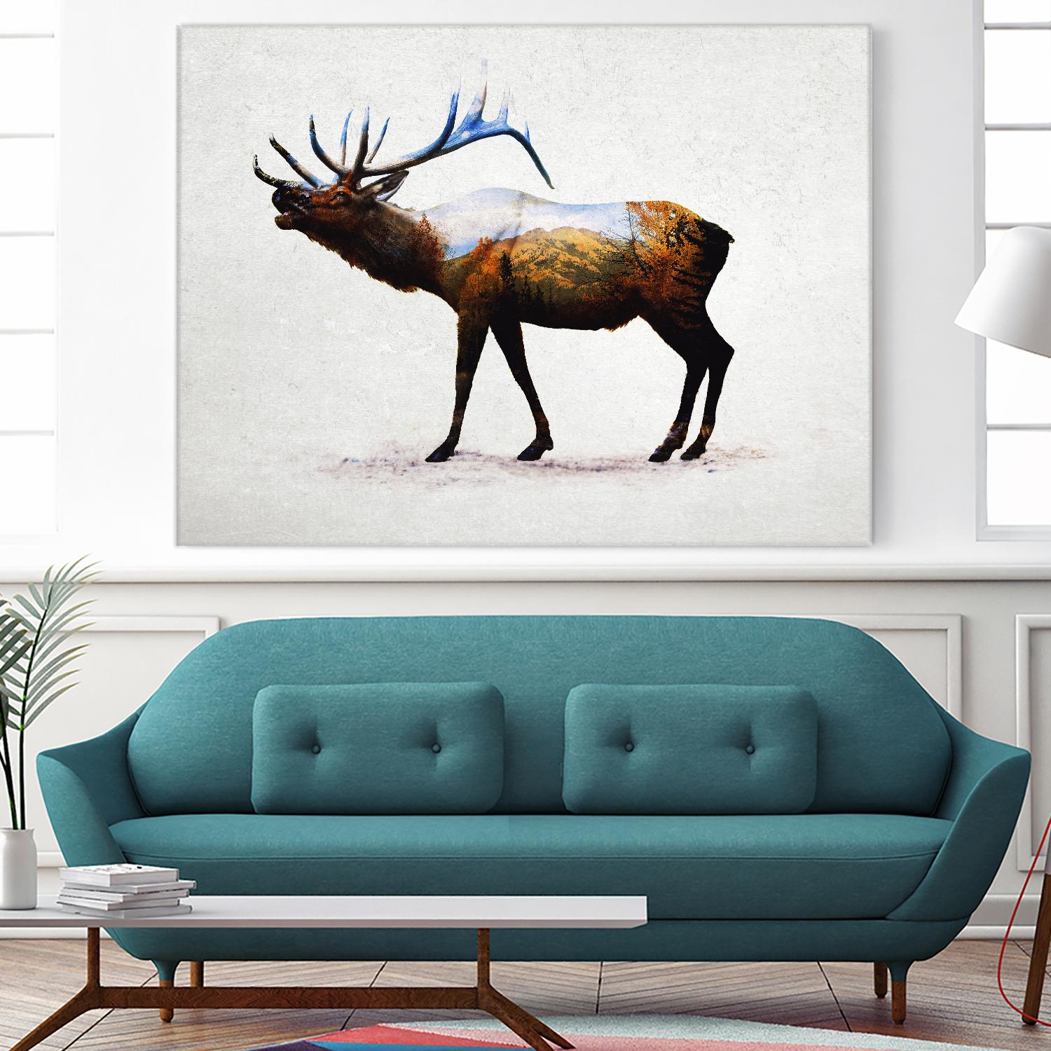 Rocky Mountain Elk by Davies Babies on GIANT ART - white animals