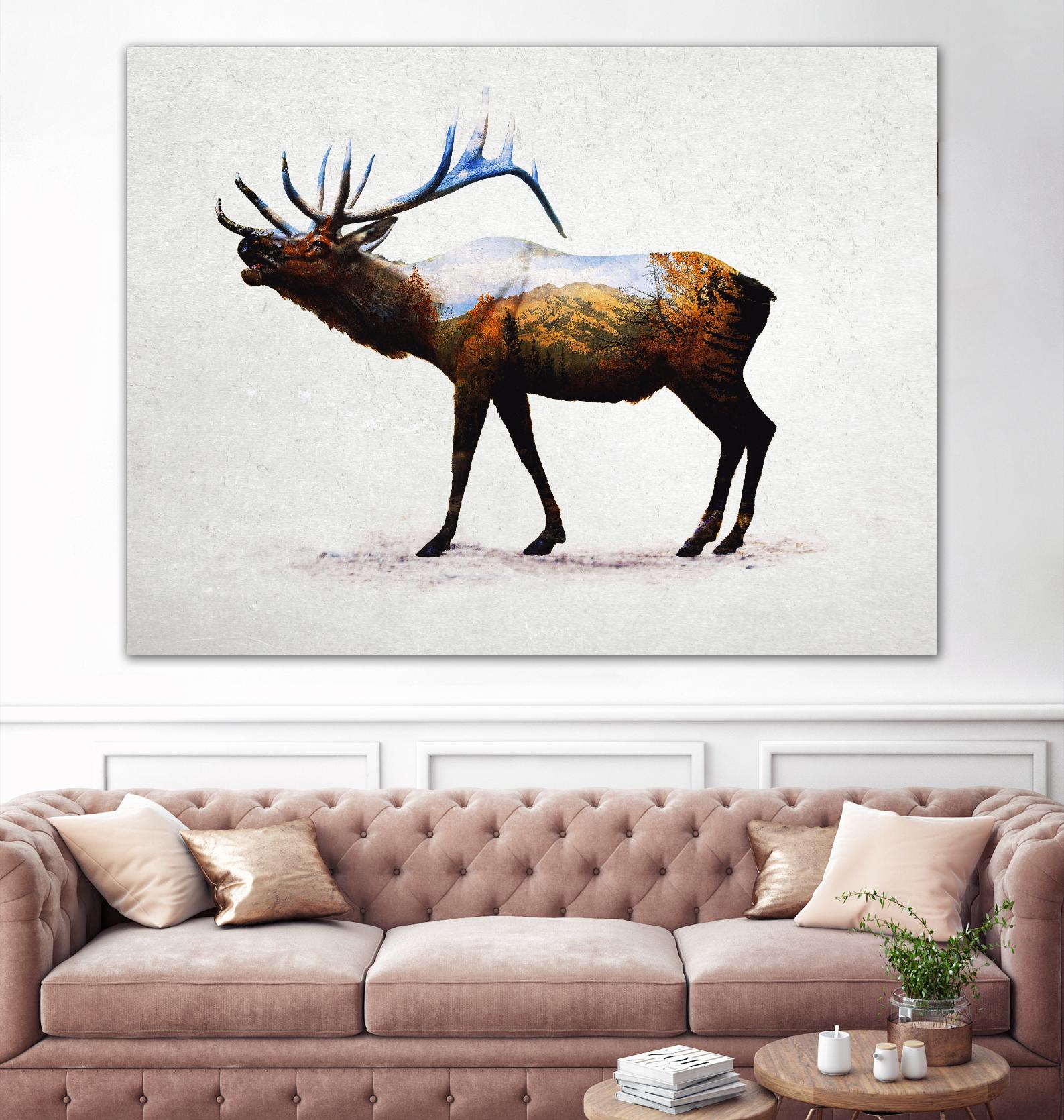 Rocky Mountain Elk by Davies Babies on GIANT ART - white animals