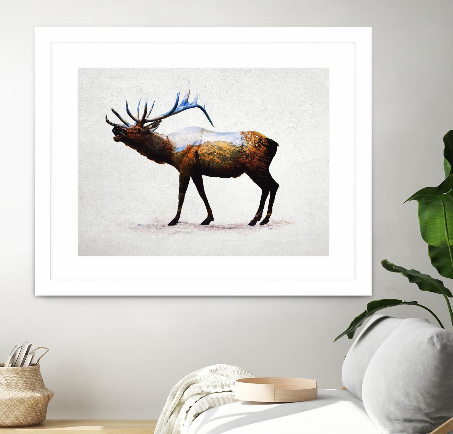 Rocky Mountain Elk by Davies Babies on GIANT ART - white animals