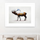 Rocky Mountain Elk by Davies Babies on GIANT ART - white animals